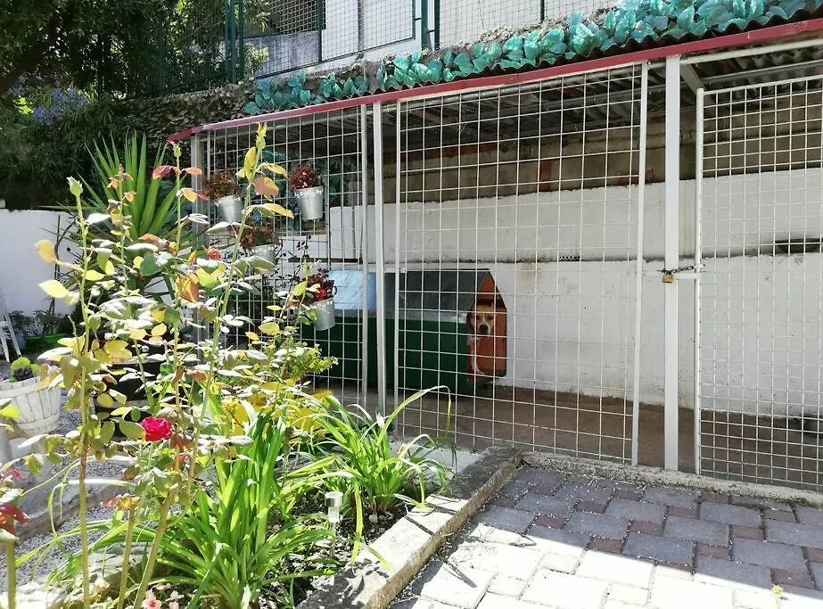 Apartment Barney With Garden&Terrace Croatia